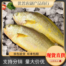 �ك����S���~���r������S�~��ȥ����S�~���r�~��rˮ�a���l