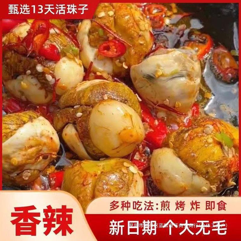 胚五香新鲜3天无毛熟1活珠子即食开袋真空包装香辣钢化蛋鸡蛋鸡蛋|undefined