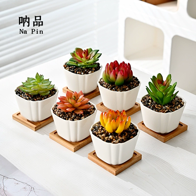 Na новый белый фарфор простой четырехугольный ромбовидный керамический горшок с мясистым цветочным горшком