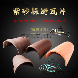 �����~���ǿ�����Ƭ��ܹ޶������ɰ��ֳ���~�װ������S����̨