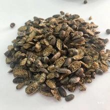 ��D�x Ұɽ��D�x ��ʭ �����x ���x ��؛ ���]�ɴ����؛��؛