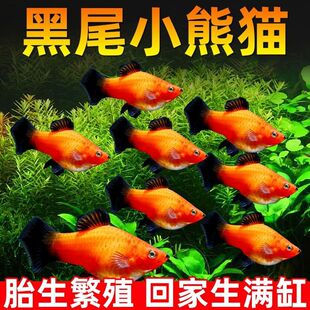 �����~ �¹��~ ̥���~ С���~ �^�p�~ �Ꭷ�~ ���B�������~