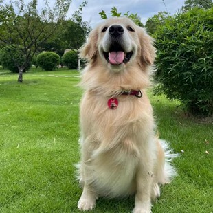 ���l��ë��Ȯ���w��������Ȯ��Ǽܽ�ëѲ��Ȯ��äȮ����Ȯ���ﹷ