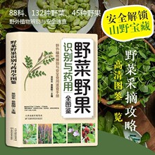 野菜野果识别与药用全图鉴正版书 88科132种野菜45种野果野外植物