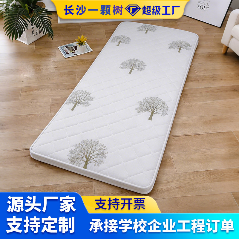 Coconut Palm Mattress, Cotton Mattress, Bunk Bed Mattress, Double-Layer Mattress, Bed Mattress, Dormitory, Youth Hostel, Homestay, Space Capsule Mattress