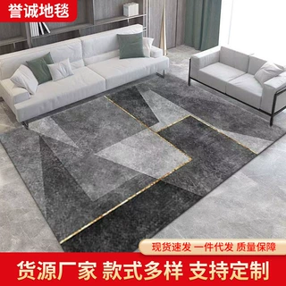 跨境3D视觉轻奢风客厅地毯地垫卧室床边满铺地毯家居装饰沙发毯子