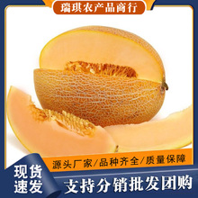 �����۹�ɳĮ�S����S���۹�����10�����rˮ�������ЋD���ܹϸ��C