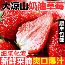 �����Ĵ����ɽ���Ͳ�ݮ5�ﮔ�����rˮ�����l���]3��ţ�̲�ݮ