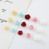 Japanese retro resin, accessory, earrings with accessories, roses, handmade