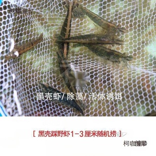 �^�p�r���l�ښ��r�׳����r��ˮ���坍�rˮ�����쾰�~�׹���