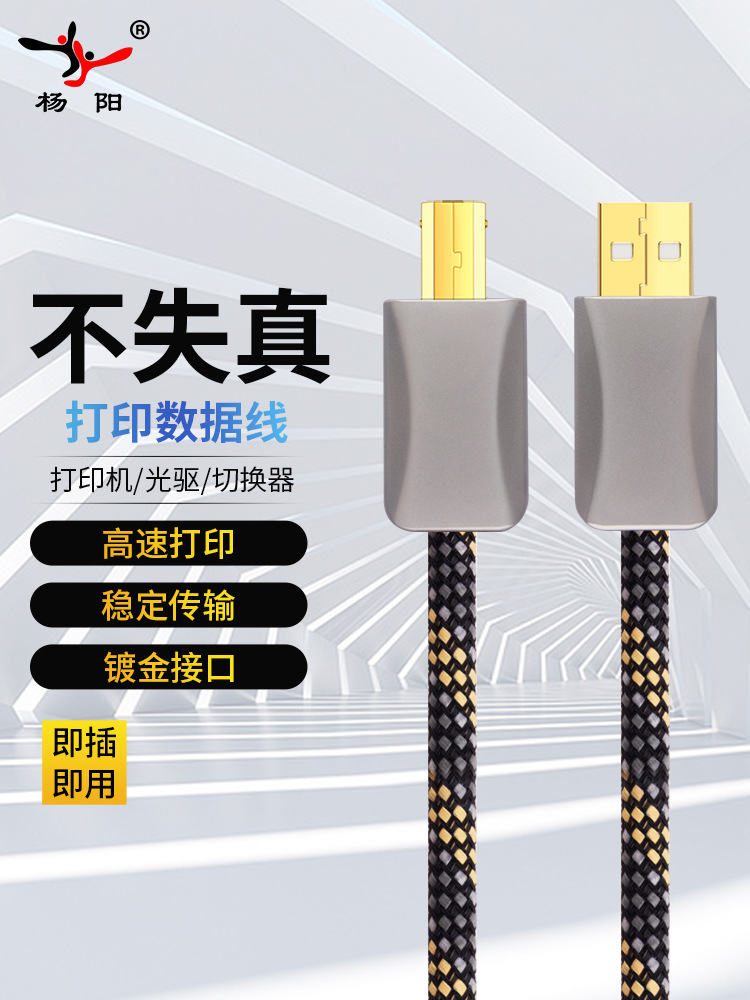 Fever usb audio cable HIFI oxygen-free copper USB decoder sound card cable DAC square port a to B data cable