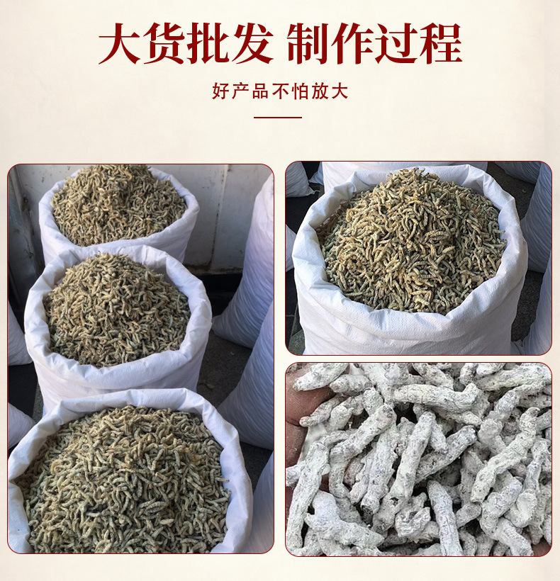 White Silkworm Jiang Can 500g Dried Bombyx Batryticatus Traditional Chinese Herb for Decoction key features