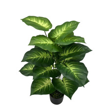 �羳����Gֲ�f���� �͏d�Ҿ�����b�Ʒ �����c�쾰�G�}�ٻ�