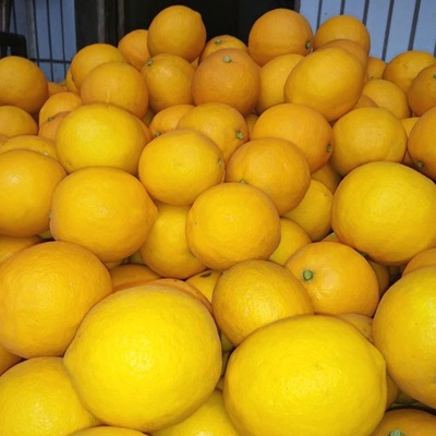 lemon Anyue Yellow Lemon two or three fresh 80-260g single Independent packing Manufactor