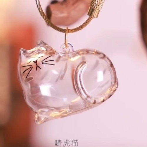 Caja de almacenamiento de pelo de gato transparente llavero Cápsula de almacenamiento de pelo de gato de alto valor colgante Caja de almacenamiento de pelo de mascota