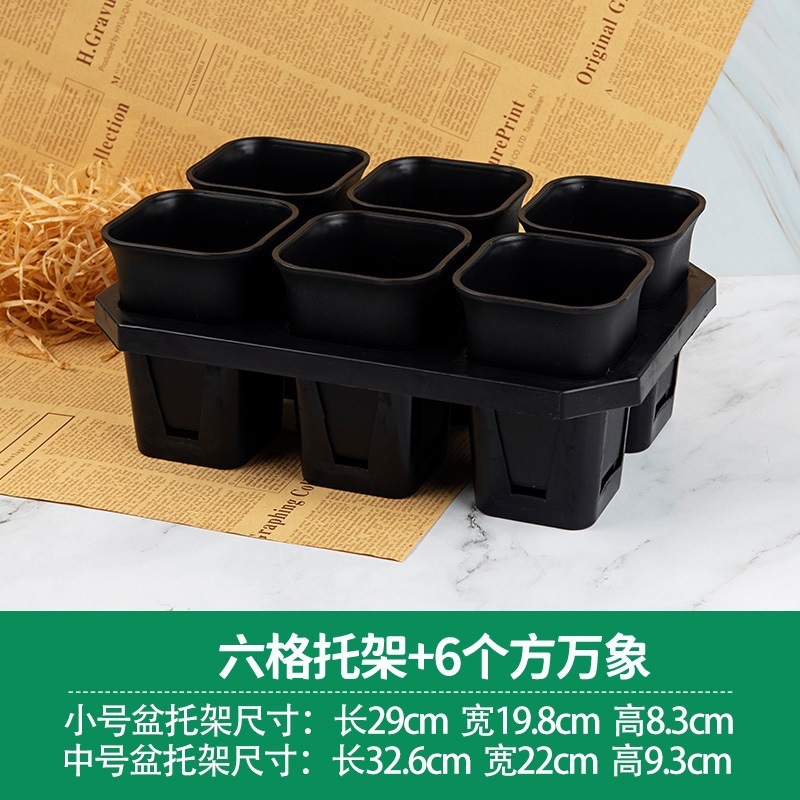 Seis soportes altos, 6 cuadrados de Vientiane (negro)