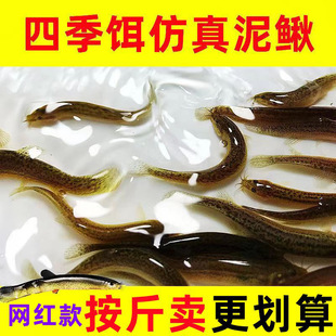 New Luya bionic Loach fake bait fishing beading fish bass black fish simulation Loach Soft Bait salt and stinky