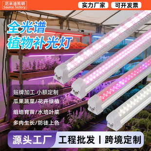 Full Spectrum Succulent Coloring Bionic Plant Lamp T8Led Indoor Imitation Sunlight Indoor Flower Plant Fill Light