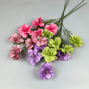 ��֦��ë�yɏ�����滨���^���b����ٻ������˼Ҿӿ͏d�[�O��ˇ