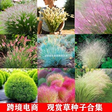 �^�p�ݷN�Ӻϼ��{��é��β����y�Ӳ��M�ڶ������ļ��ͺ���������