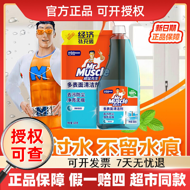 Mr. Powerful Glass Cleaner 500g Bottle 420g Bag Bathroom Window Mirror Multi-Surface Cleaning Wholesale Dropshipping
