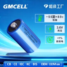 er14335늳�3.6v䇁�������늳�̽�^�ضȃx��׼�R������etc늳�