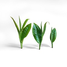 ��t�ȼ��踽�蹦����Ʒ�bƷ�b�P�c��tԭ�a�ع��Sֱ�l70���ϏS