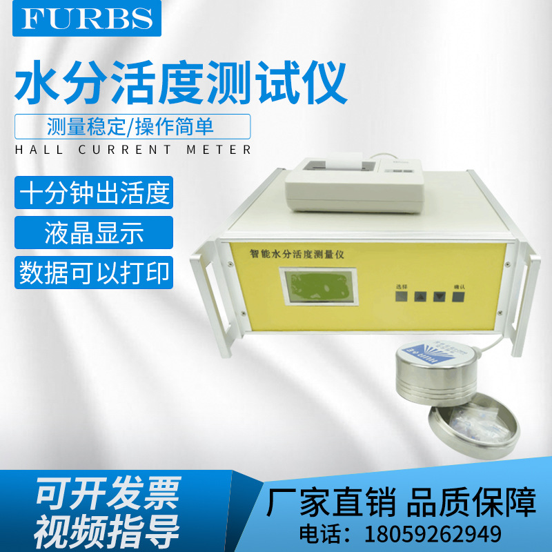 水分活度测定仪蛋糕面包食品水活度检测带打印机水活度测量仪