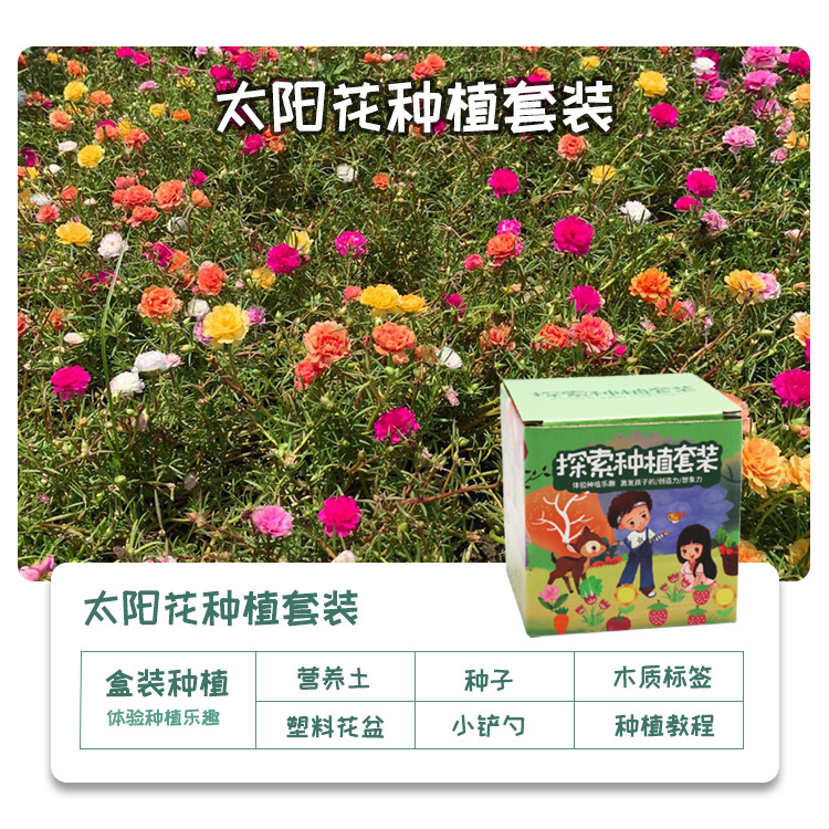 Explorar la plantación de plantas en maceta pequeñas para niños observación del crecimiento de plantas verdes pequeños experimentos creativos de los estudiantes pequeños agricultores de flores interesantes image 47