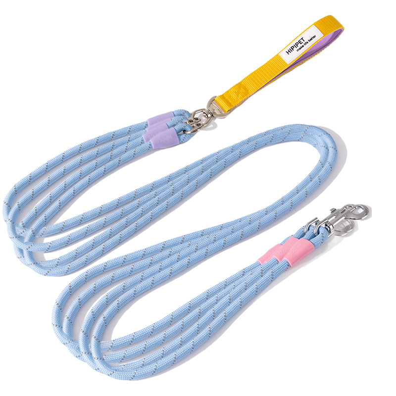 Los perros salen, perros pequeños y medianos, contraste de moda, uno arrastra tres, cuerda de tracción, muchos perros paseando a su perro, cuerda para perros, suministros para perros