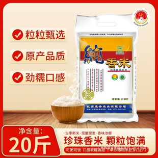 �������׽��K������ѿ�׃��|�������������׶YƷȺľ�A���b����