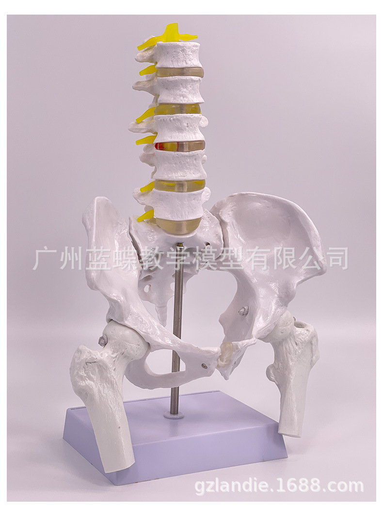 详情_19