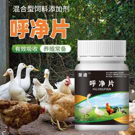 呼净片100片装鸡鸭鹅鸽子鹌鹑用养殖常备批发代发现货速发