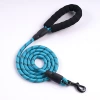 All handles included (blue D)