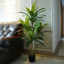 ���W�L�������Gֲ���� �Ҿ�����Ʒ�[�� ��������F��Ѫ�F��