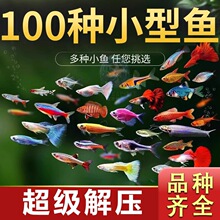 �Ꭷ�^�p�~���B�t�G�����R�~��ˮ���~�����ɿ�ȸС�͌�ɏ����С�~