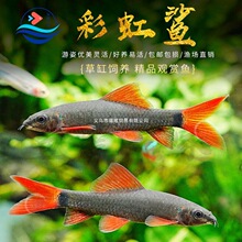 �ʺ����~�������w��̦���~�ԼS�������ۼt������ᎧС���^�p�~