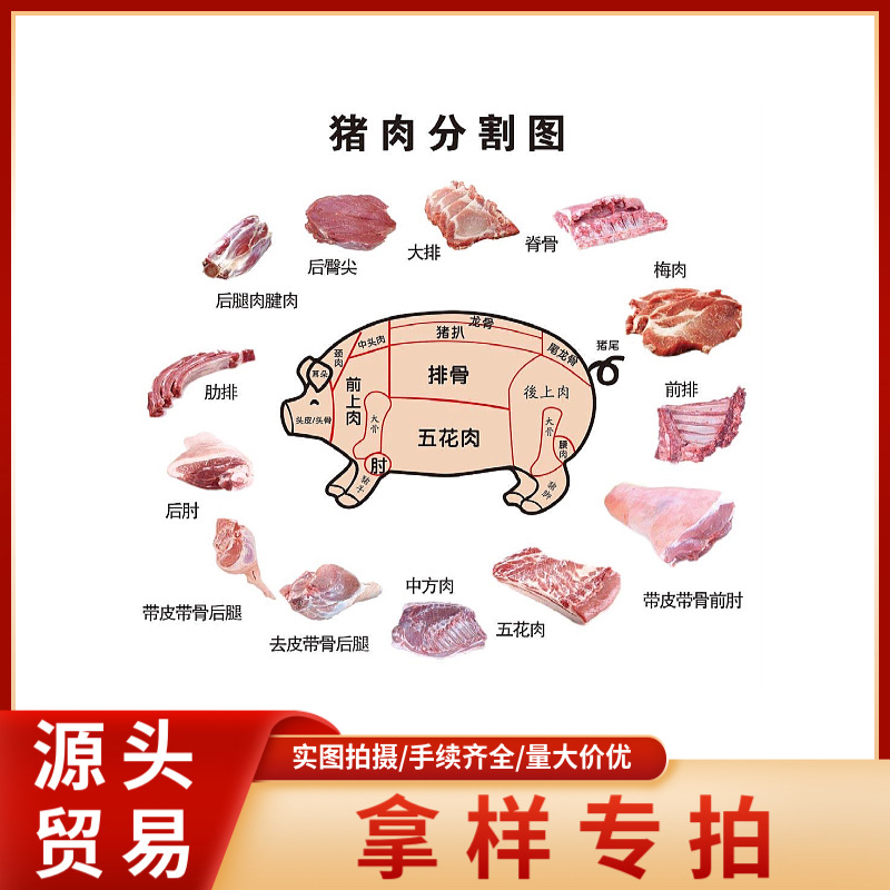 一件拿样 源头贸易 进口冷冻猪肉一件试用 冻猪副 冷冻猪肉副产品