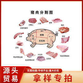 一件拿样 源头贸易商进口冷冻猪肉 无添加无注水猪肉分割猪副产品