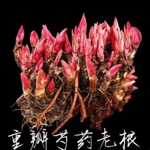 ļ_ذșK㻨ֲǧș󻨷NƷ