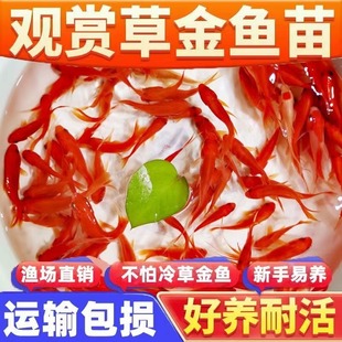 �B�����Ľ��~�^�p�~��ؔС���~���l�ͻ���B��ˮ���~