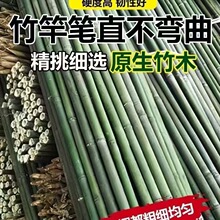 小竹竿种菜架子菜架竹菜园竹子竹子种菜支架豆角四季豆包布料其他