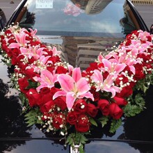 ��܇�����V�����Pһ�����L�l�廨�bS����܇���l����ϲ�c