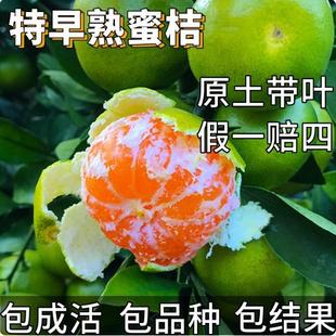 �������۽�����Ә����䎧���ϱ������Լ޽ӟo�����ٮ���Y��