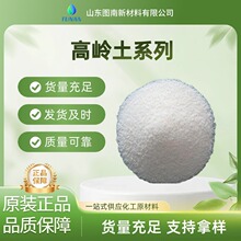 英格瓷特种水洗高岭土Polsperse10 超细的白色粉末微观为片状结构