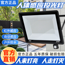 ledwБͶͥԺ܇50WO_t⾀