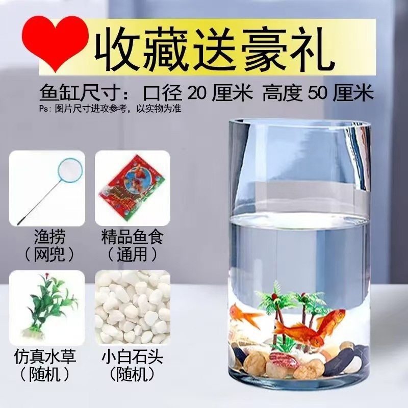 ラウンド水槽円筒形金魚水槽ガラスデスクトップリビングルーム透明小型家庭用カメストレート生態造園水槽|undefined