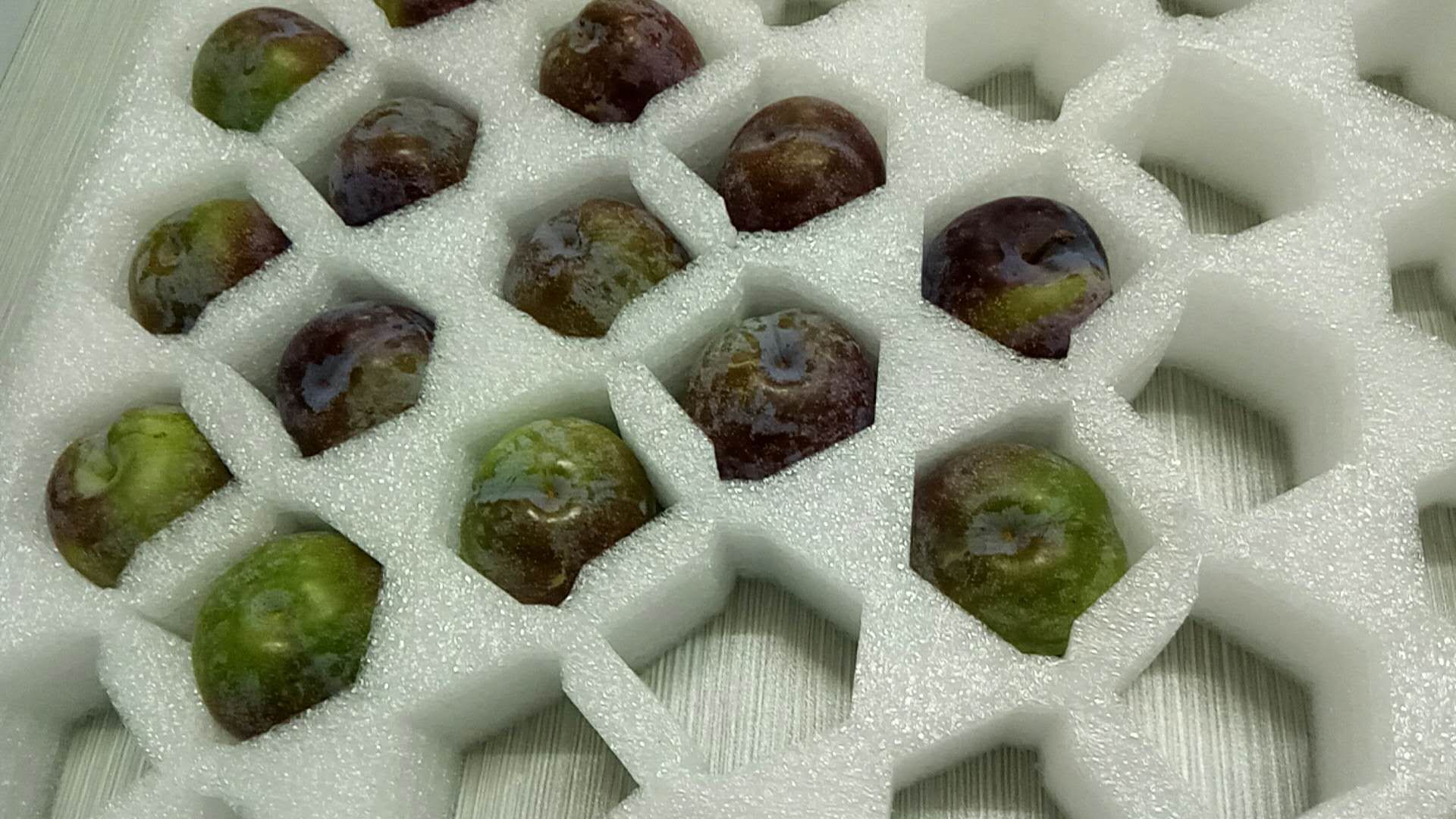 厂家供应白色珍珠棉李子包装泡沫/拉伸李子包装泡沫/运输快递包装