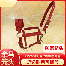马笼头绳子牵马调教笼头全套线板大小矮马龙头嚼子精骑马术用品亏