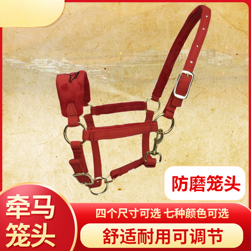 马笼头绳子牵马调教笼头全套线板大小矮马龙头嚼子精骑马术用品亏